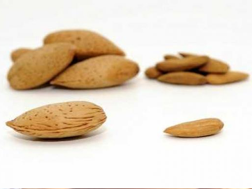 Sicilian Shelled Almonds