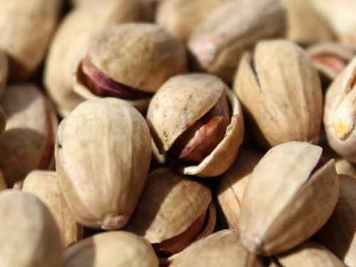 Pistacchio Sicilia in Guscio