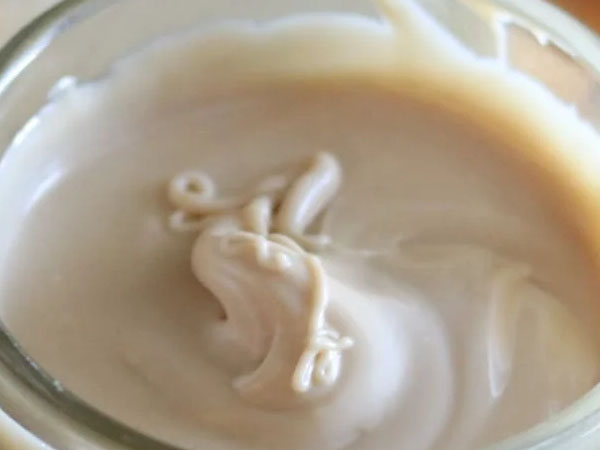 Crema proteica di nocciole