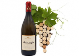 Malavoglia Weißwein