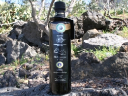 Organic extra virgin olive oil - Il Poeta